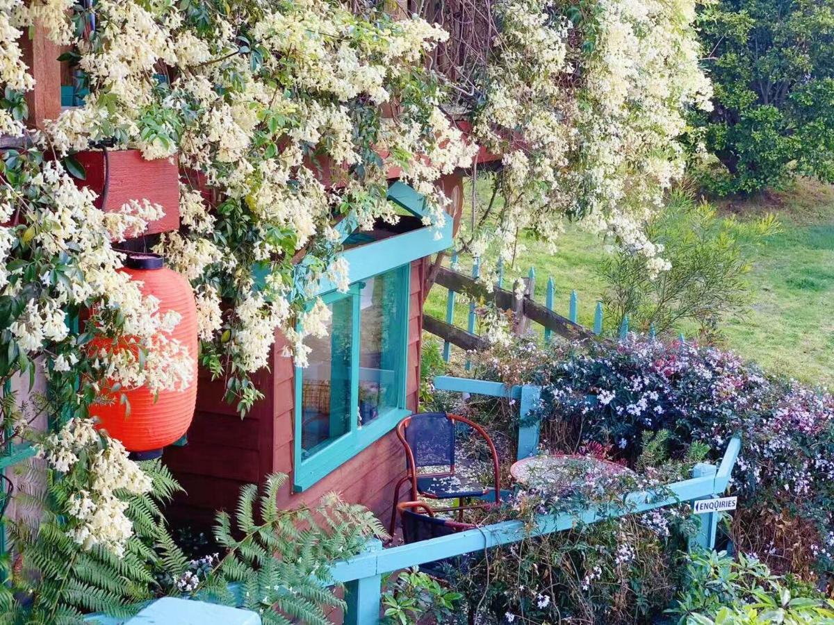 The Goat And Goose Bed & Breakfast 엔트런스호수 외부 사진